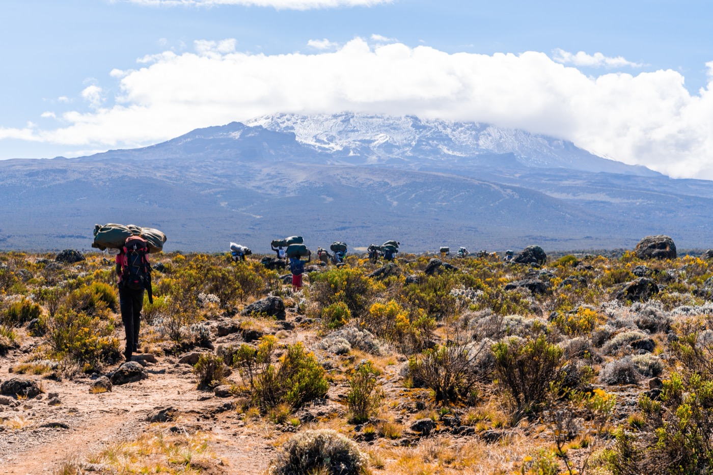 Safari with Jackal Adventures