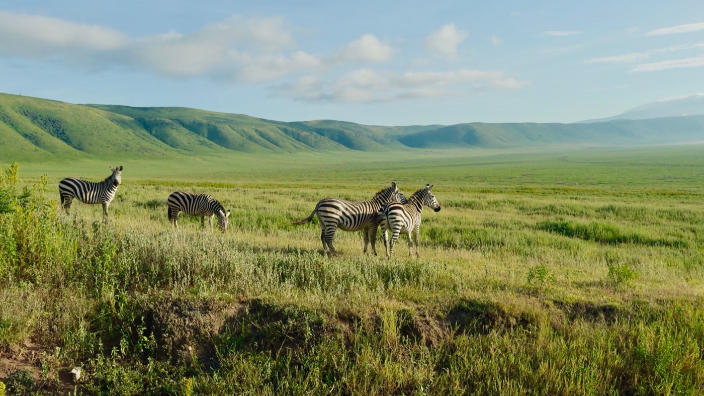 Ngorongoro Crater